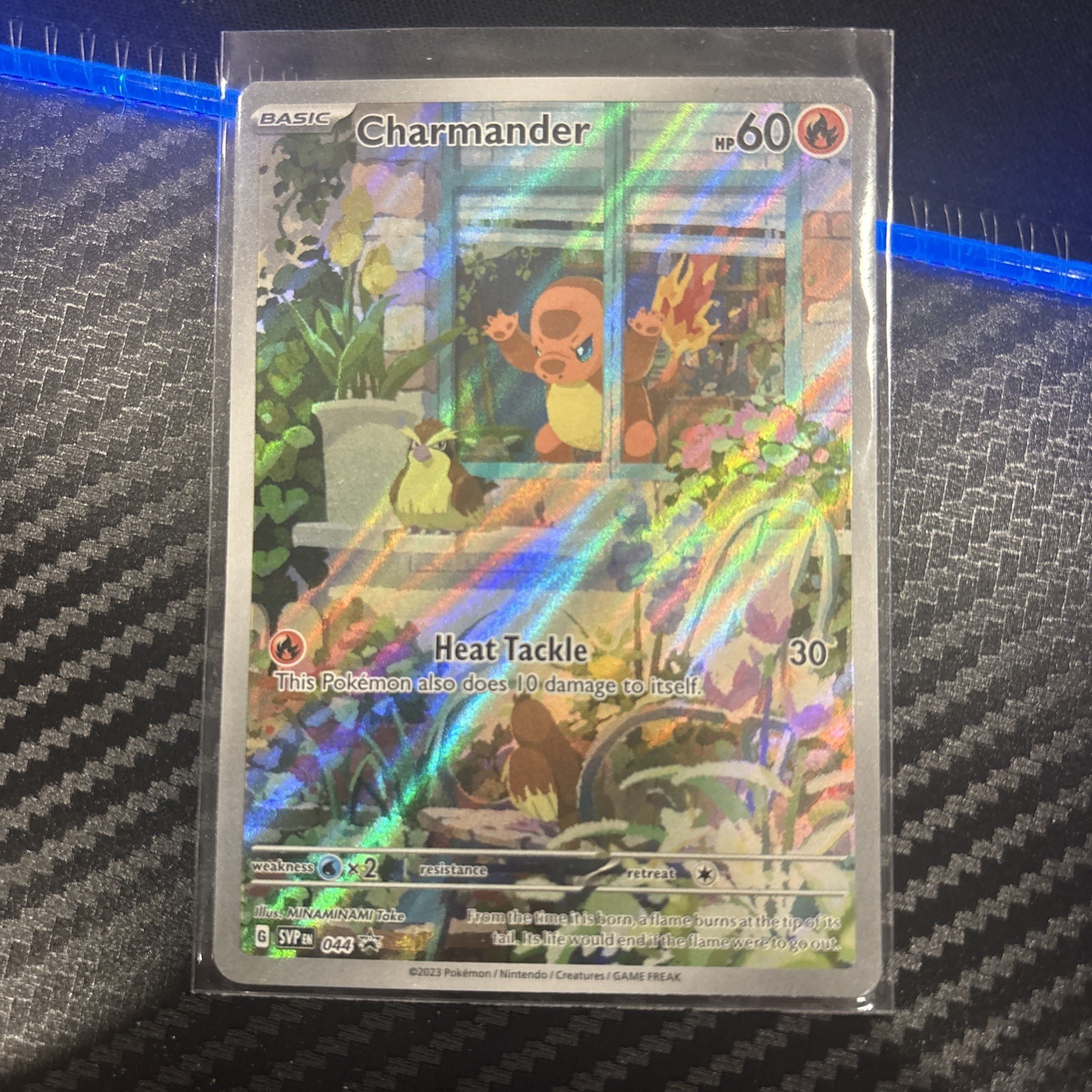 Charmander #44 Pokemon Promo - NM