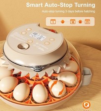Innsky Incubators for Hatching Eggs,12 Egg Incubator