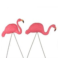Bright Pink Flamingo Yard Ornament (2pack), New, Free Shipping on sale Bright Pink Flamingo Yard Ornament (2pack), New, Free Shipping on sale