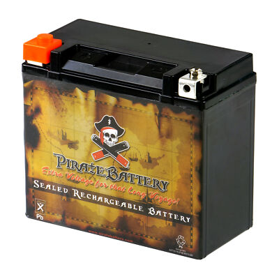 YTX20H-BS ATV Battery for Arctic Cat 1000cc Thundercat Up to 2010