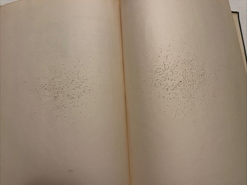 The Moth Book By W J Holland 1922 - Picture 14 of 16