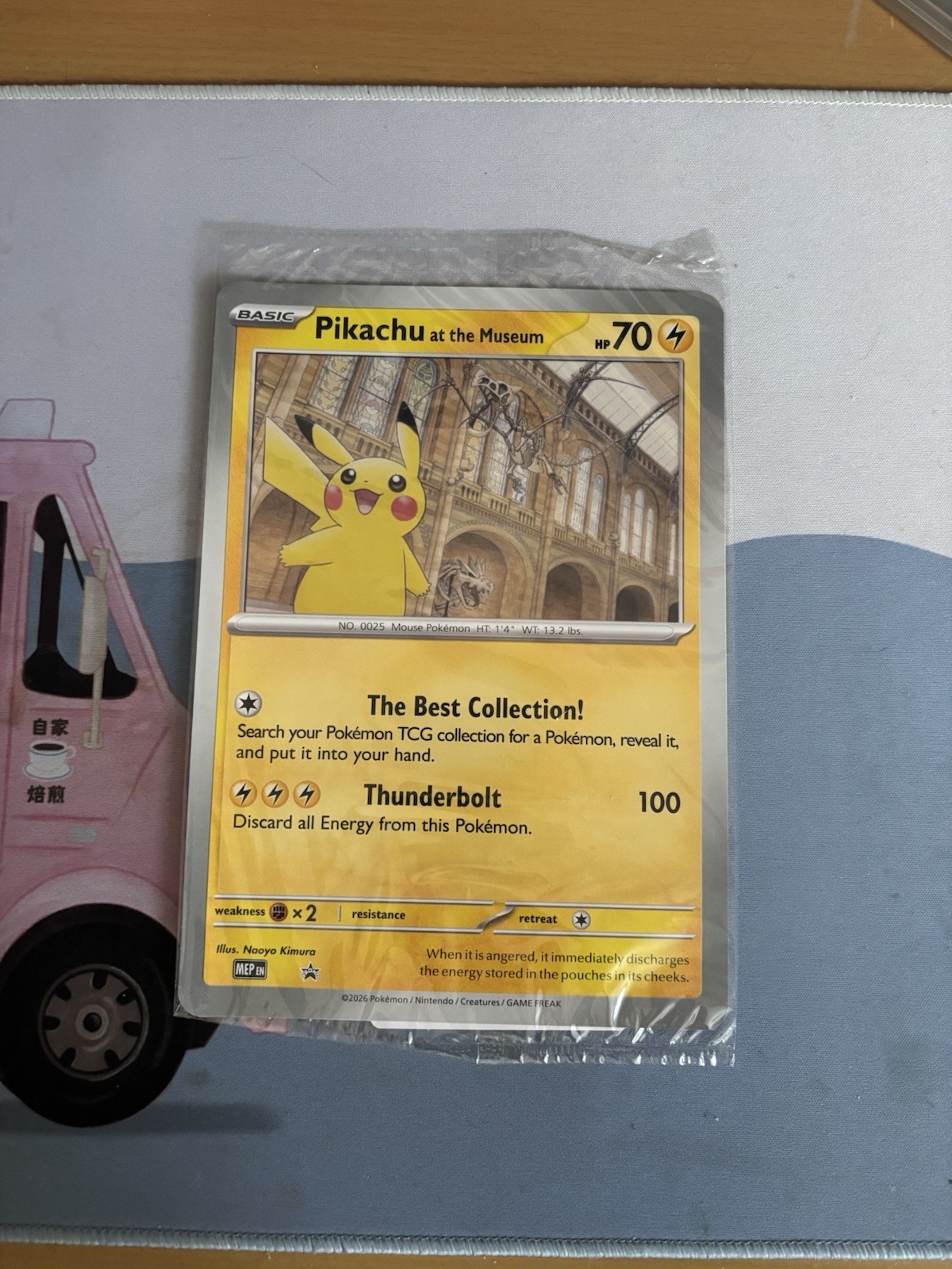 Pikachu At The Museum