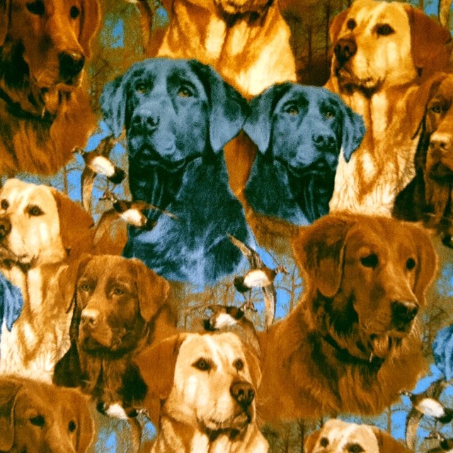 Labrador Retreiver Duck Hunt Polar Fleece Fabric 60" By The Yard Brown