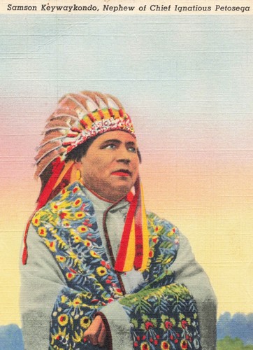 Michigan Native American UNCOMMON Samson Keywaykondo of CHIEF PETOSKEY FAMILY!!! - Picture 2 of 4