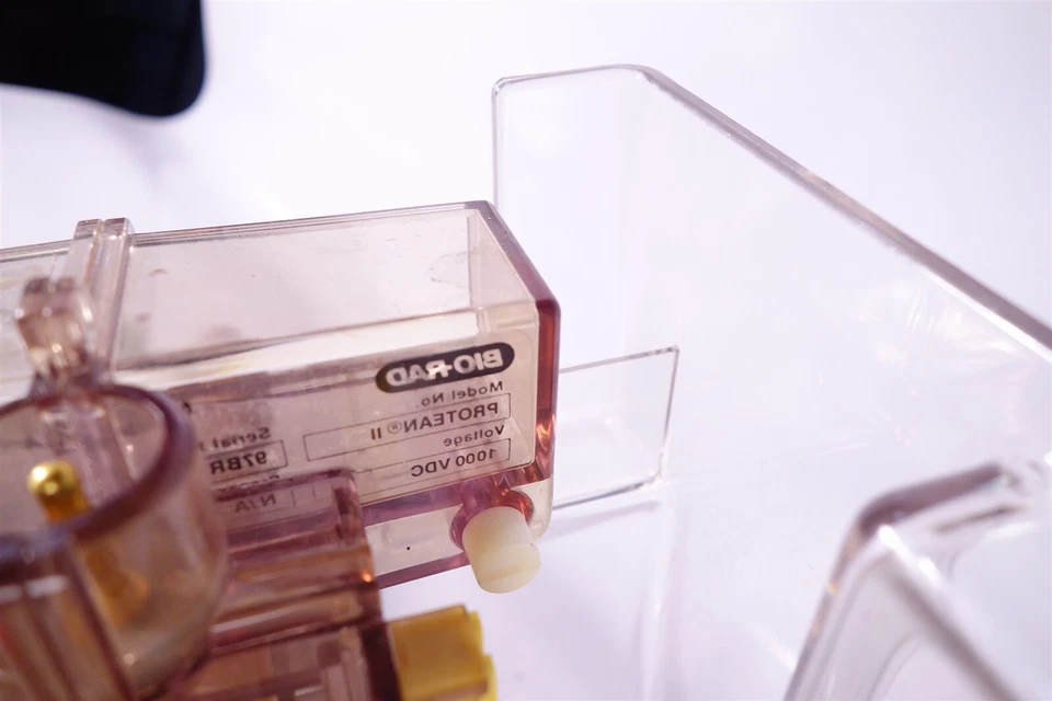 BIO-RAD PROTEAN II xi TRANS-BLOT CELL + Acessórios - Imagem 3 de 4