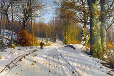 WINTER LANDSCAPE by P. Monsted snow forest Tile Mural Backsplash Marble Ceramic