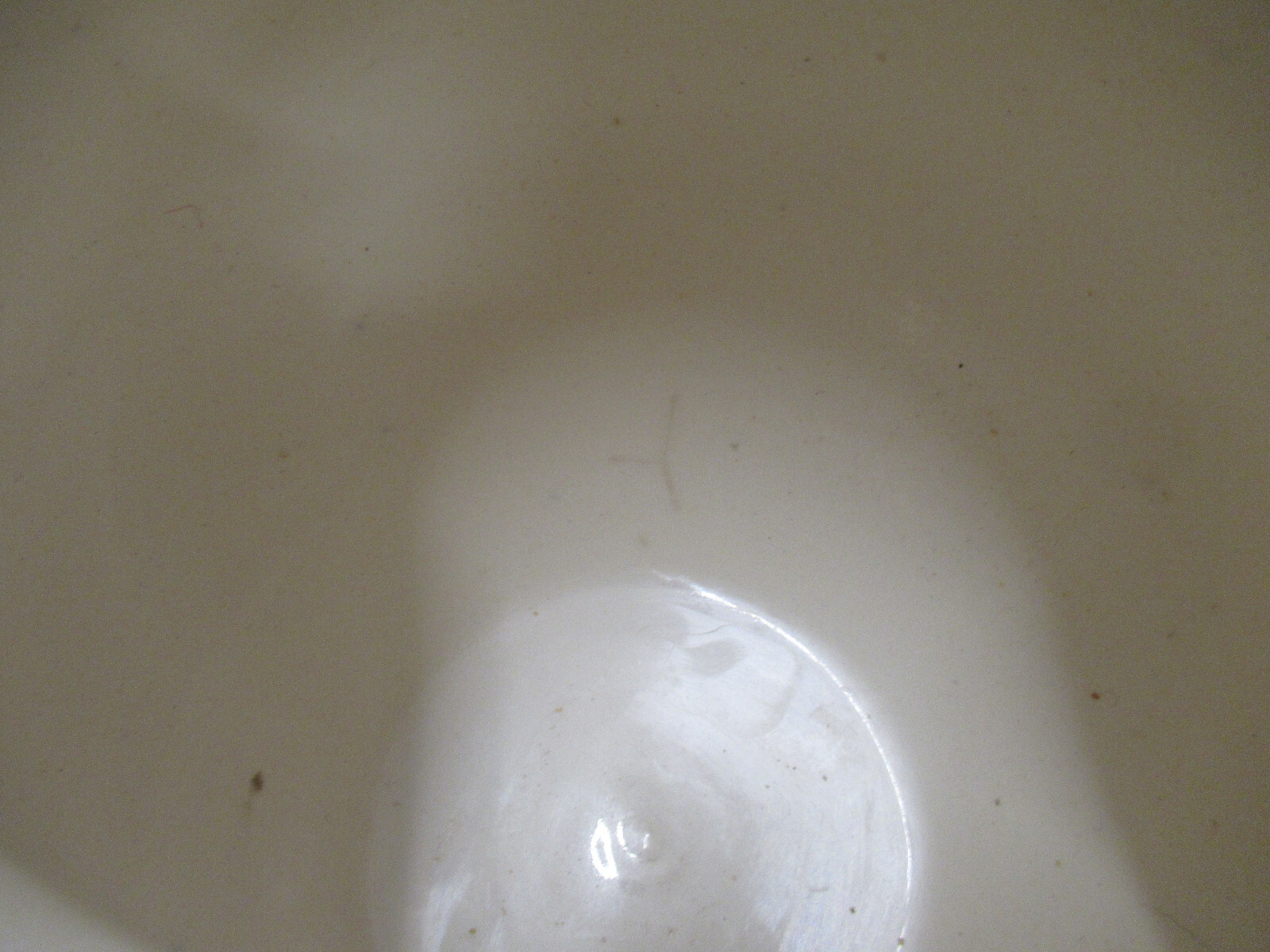 Picture 12 of 12