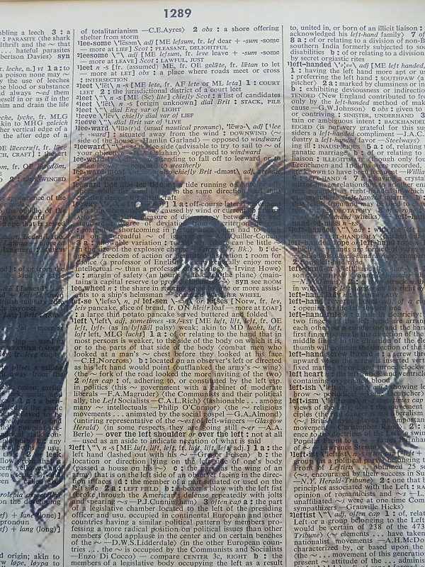 Shih Tzu Print No.336, shih tzu poster, dictionary art, shih tzu dog