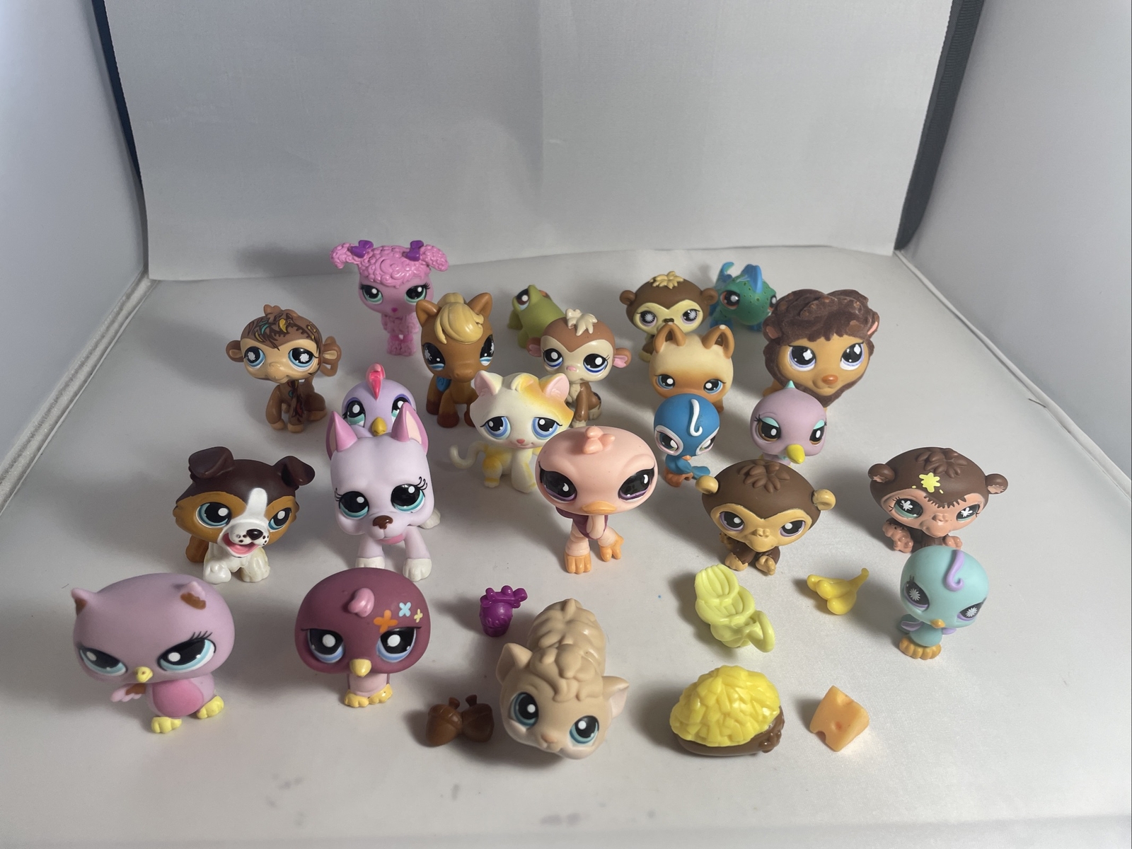 Picture 1 of 22