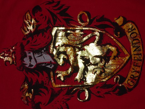 NWT Harry Potter Tee Shirt Top House Gryffindor Shield Red Cotton Sz 14 XL - Picture 3 of 5