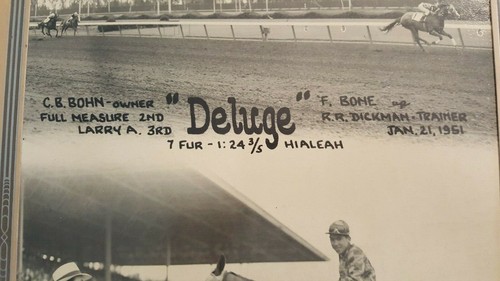 VINTAGE "Winner's Circle" Horse Racing Photo - Jan 21, 1951 B/W "DELUGE" - Picture 3 of 7