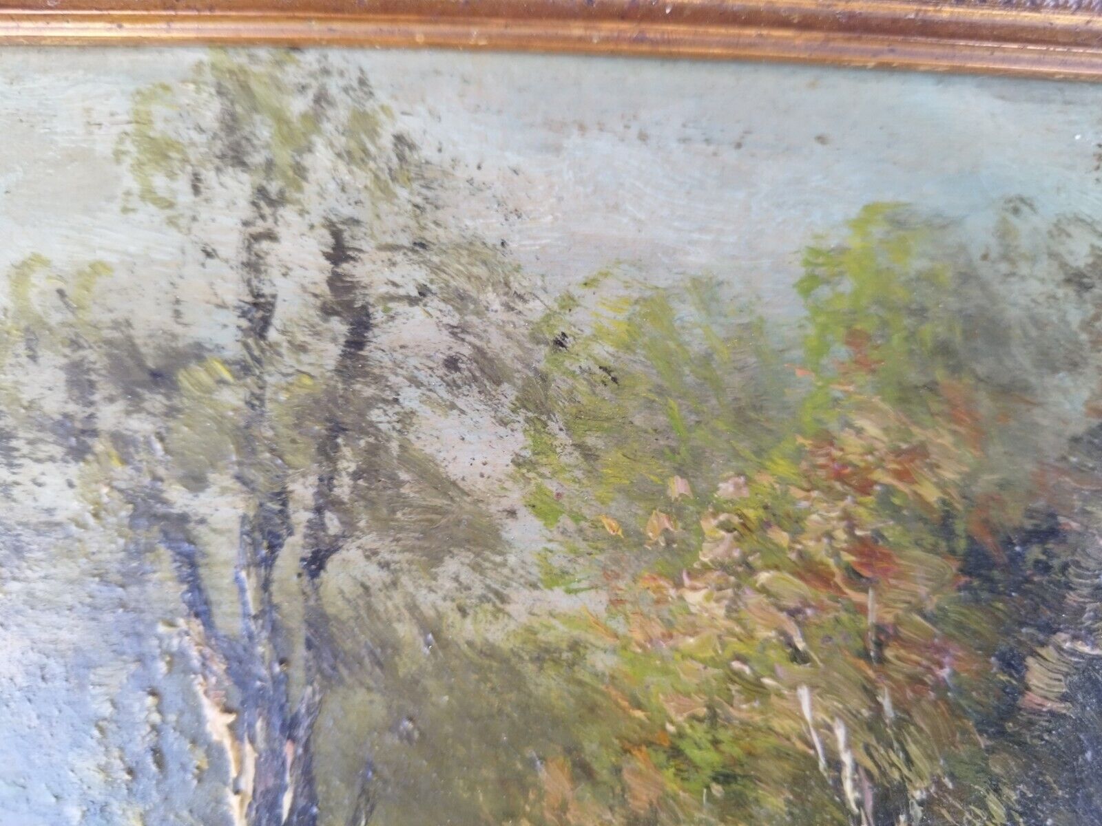 Picture 6 of 11