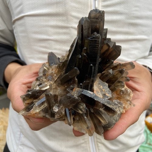 2LB Large Natural Smoky Black Quartz Crystal Cluster Raw Mineral Specimen - Picture 10 of 14