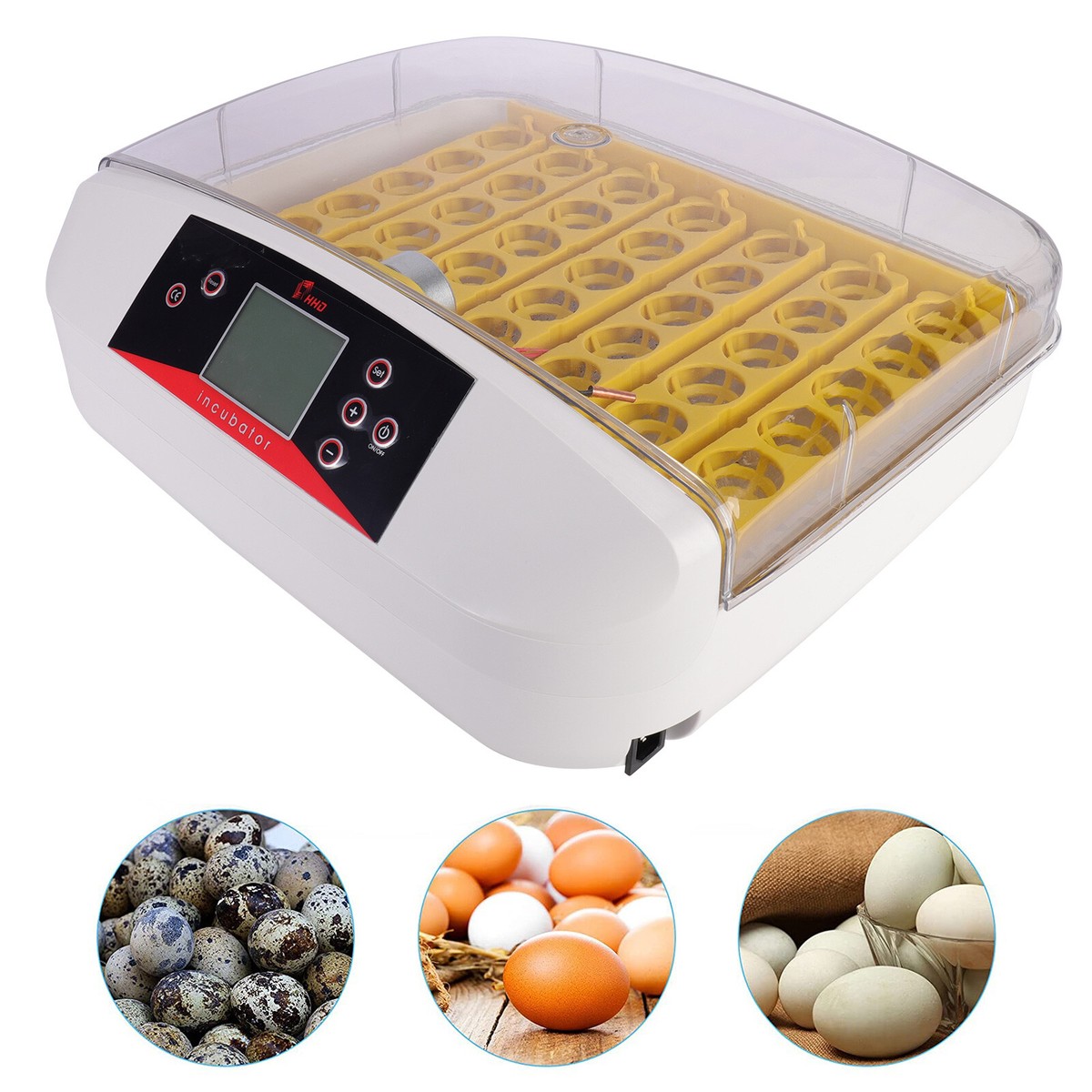 Homemade Chicken Incubator New Egg Incubator Smart Incubators For