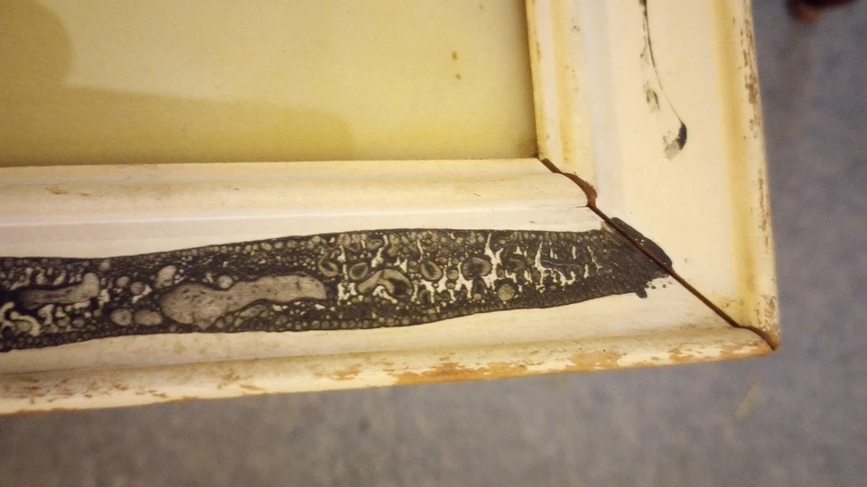 Vintage Floral Still Life Framed Wall Hanging  Gustave Wiegand  22x30 MCM RARE - Image 4 of 4