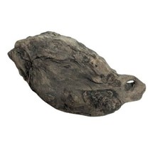 Burl Wood Unfinished Driftwood Wooden Craft Piece Beach Ocean Lake 8x5 in