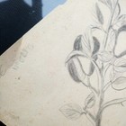 Picture 7 of 10