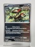 Pokemon Scarlet & Violet Twilight Masquerade BRUTE BONNET 118/167 Reverse Holo