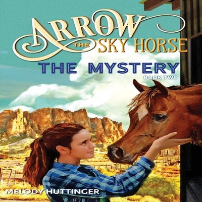 Arrow the Sky Horse The Mystery Melody Huttinger Paperback J Bar