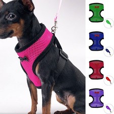 Adjustable Chicken Harness with Leash Small Pet Harness Duck Goose Hen Traning