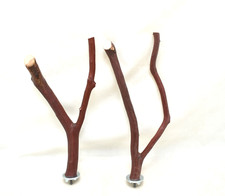 Manzanita Bird Perches 2 Pack Forked Multibranch All Natural Hardwood  Perfect