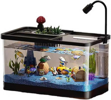 4 Gallon Small Fish Tank, Betta Fish Tank Kit with LED Light, Oxygen Generator,