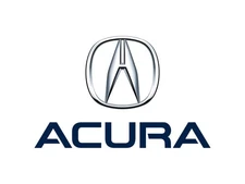 Genuine Acura OE W/Strip, L. Rr. Door 72875-SEP-A01