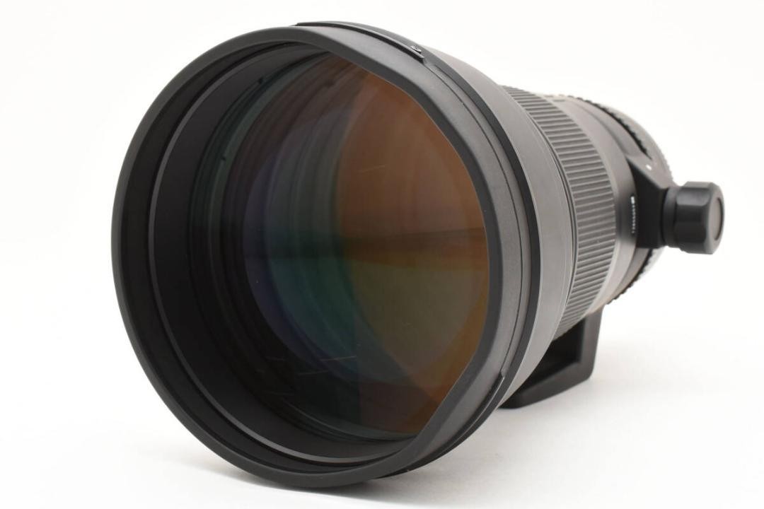 SIGMA APO 300mm F2.8 EX DG HSM ニコンFマウント SIGMA シグマ APO 300mm F2.8EX DG HSM ニコンF用 : フラッグ