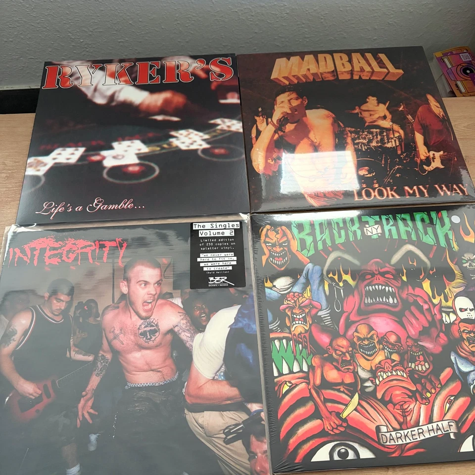 39x Vinyl LP Collection PUNK HARDCORE Integrity Poison The Well Blitzkid - Bild 3 von 4