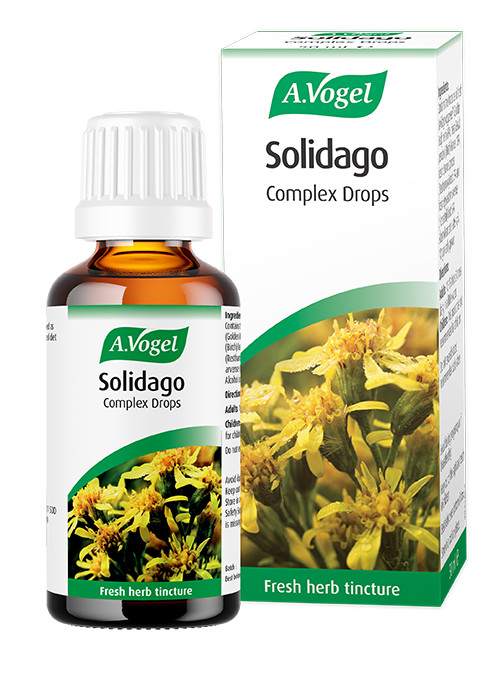 A.Vogel Solidago Complex Drops 50ml