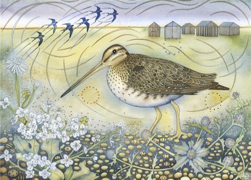 Snipe - Art Blank Greeting / Birthday Card - Swallows Game Birds Bird Flowers