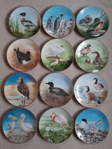 Your Choice of Danbury Mint WATERBIRD Plates Sumner Collection Plate P2 - Picture 1 of 13