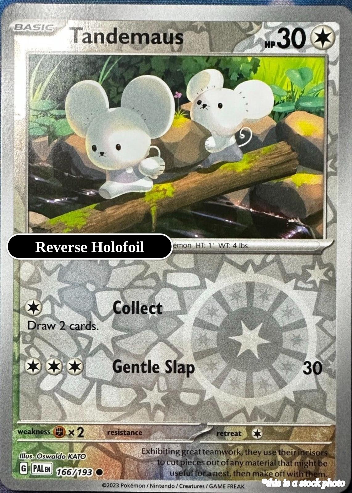 Tandemaus PAL 166/193 Pokémon Common NM