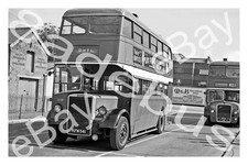 Bus Photograph CROSVILLE MOTOR SERVICES KFM 541 [DTO 615] '63