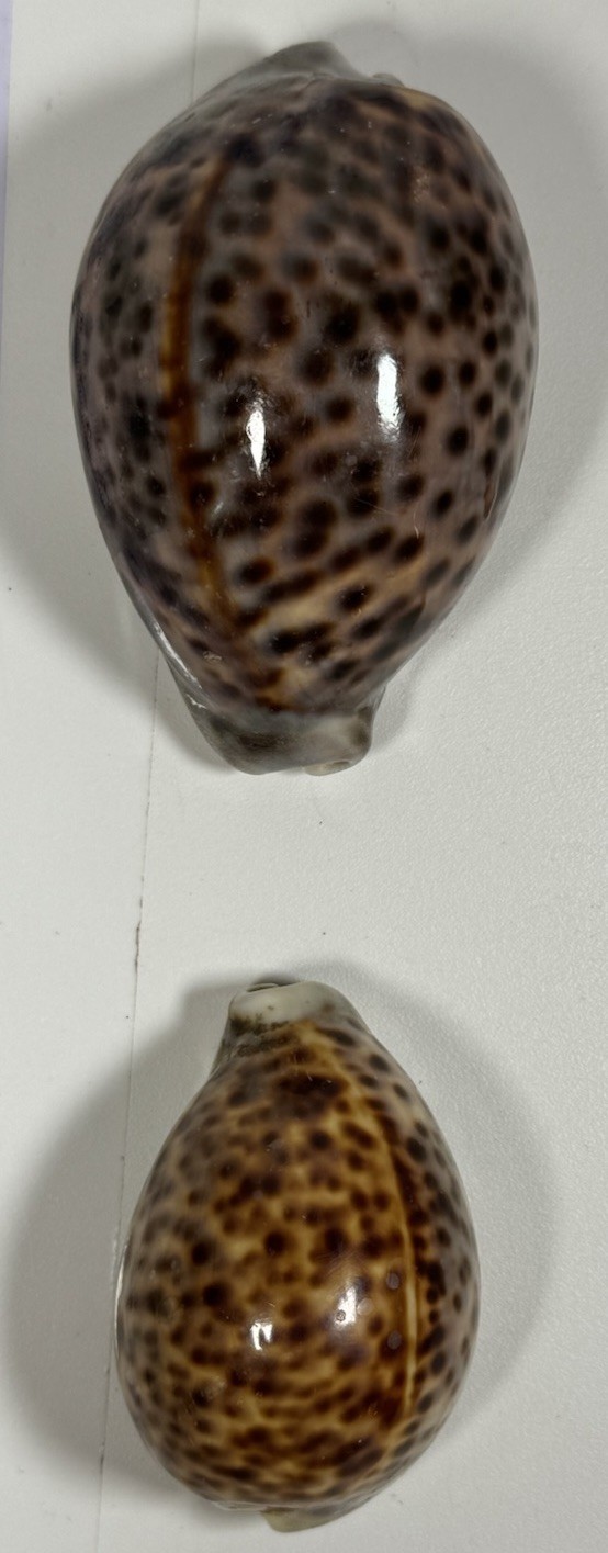 Picture 3 of 3
