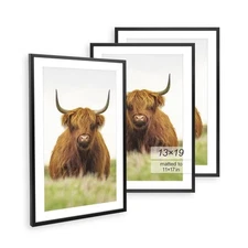 13x19 Picture Frame 3 Pack Black Thin Border Display Photo 11x17 with Mat or 13x