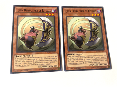 yugioh djinn ritual deck Amazon.com: Generic Complete Custom Deck for Yu-Gi-Oh!