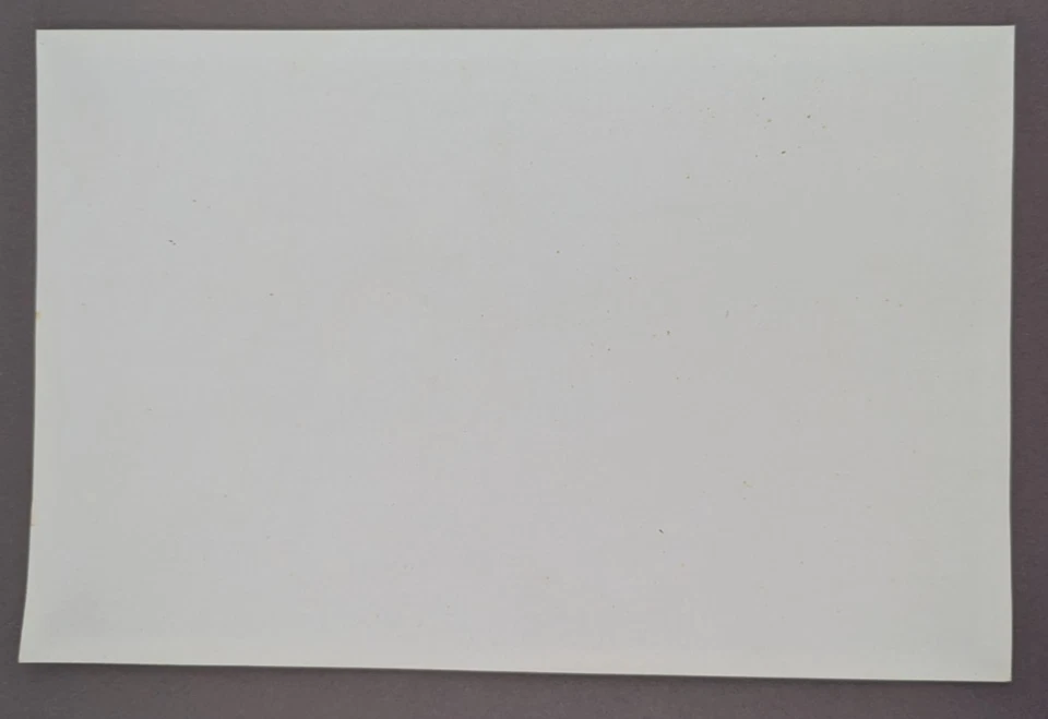 LEGO Monster Fighters HOJA ADHESIVA Vampiro Hombre Lobo Momia Fantasma 2012 10x6.5 Foto 4 de 4