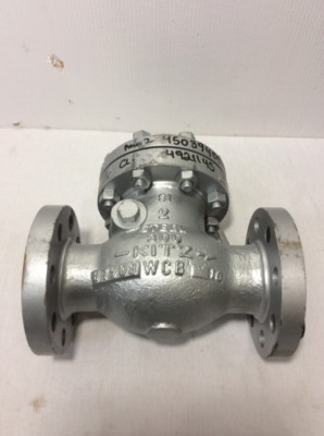 NEW KITZ FLANGE-MOUNT 2'' 300# IRON SWING CHECK VALVE