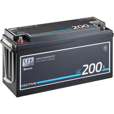ECTIVE 12V 200Ah LiFePo4 Solar Batterie Lithium Akku BMS Wohnmobil Camper LFP LT