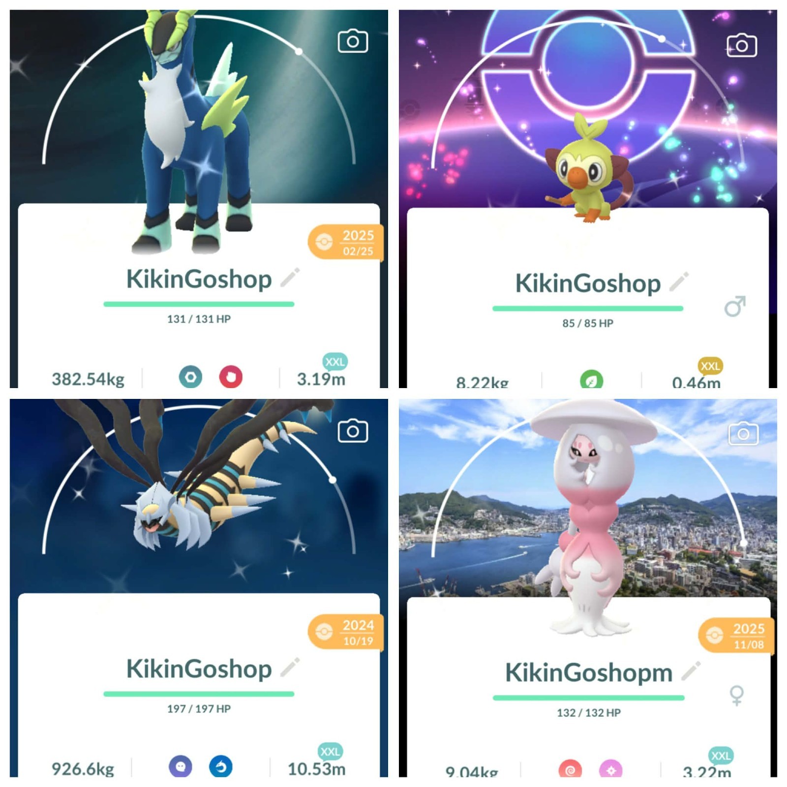 2/2 ✨POKÉMON XXL✨SHINY XXL ✨20K DUST TRADE OR BUILD FRIENDSHIP✨| POKE GO