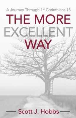 Hobbs - More Excellent Way  A journey through 1st Corinthians 13 - pap - X555z