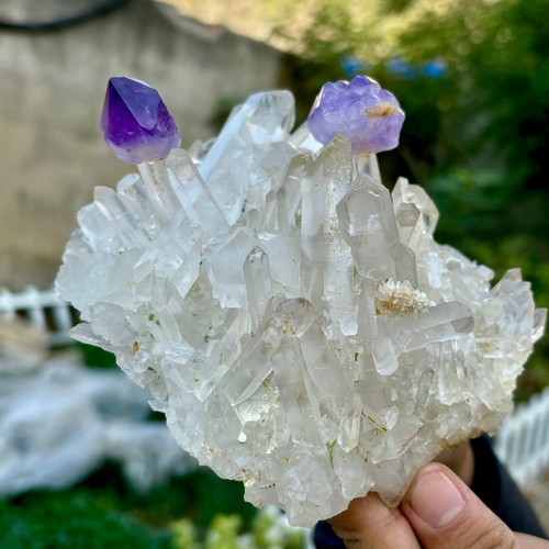 2.2LB Natural Transparent Chrysanthemum crystal Cluster with Amethyst Specimen - 第 6/15 張圖片