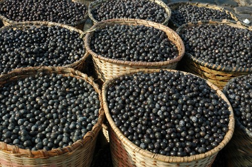 Mayan’s Secret - Acai Powder Organic Freeze Dried 4Oz, Parve, Vegan, Non-GMO - Picture 9 of 11