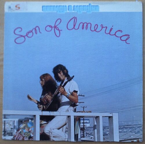 Scarce Seemon & Marijke Son of America - The Fool - NM Vinyl - Afbeelding 1 van 3