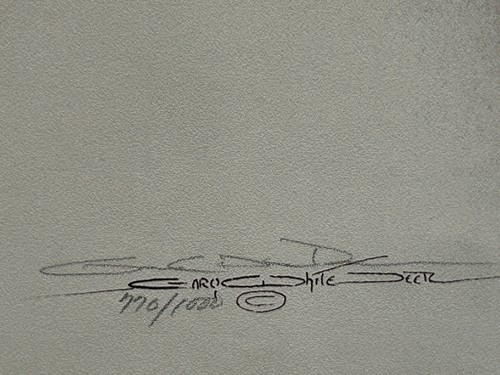 Gary White Deer Forever Choctaw Signed Lithograph 770/1000 Native Art 25x18.5 - Picture 6 of 12
