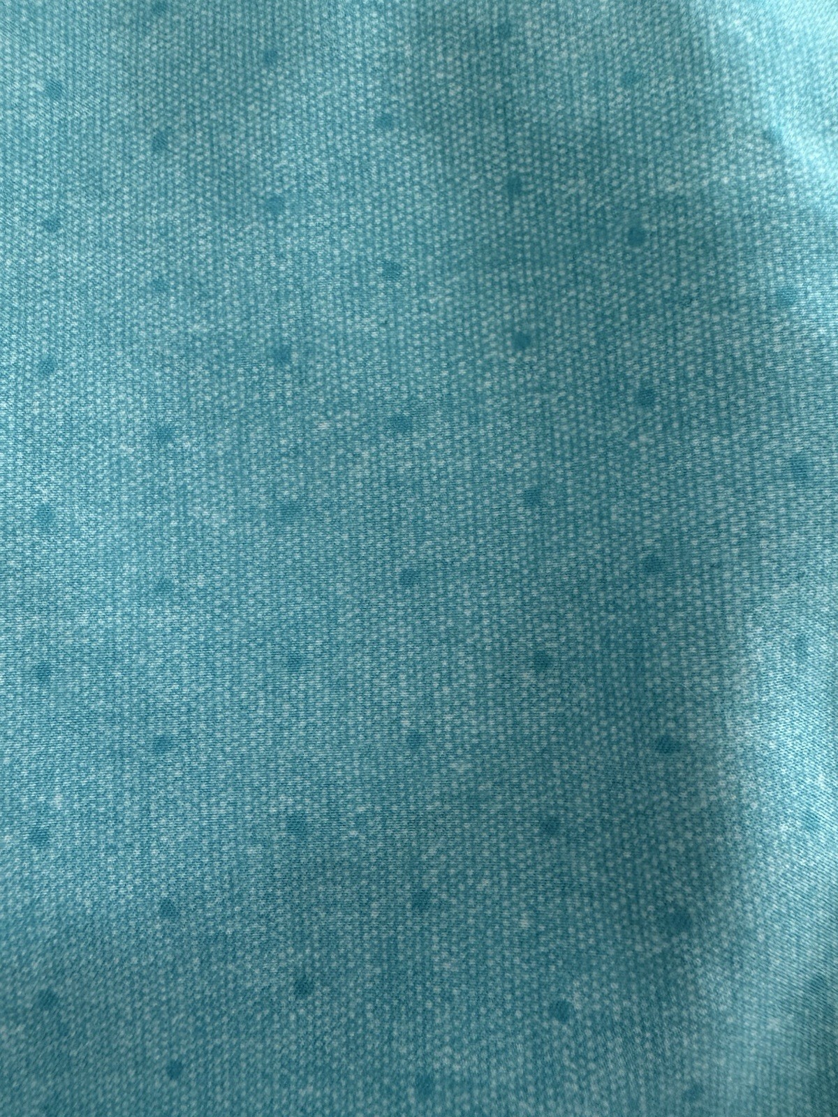 Picture 4 of 13