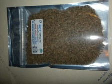 Organic Cumin Seeds "Cuminum cyminum" QAI Certified, KCS Kosher 4 Sizes