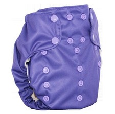 Concord-Smart Bottoms Smart One 3.1 All-in-One Cloth Diaper Organic
