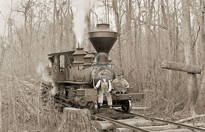 C.C. & P. Railway Log Train 1910 RPPC Photo Postcard COPY